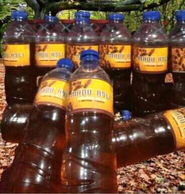 Madu Hutan Asli 700 gr - Sipirok Silua